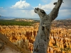 brycecanyon4-2